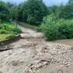 Nubifragi, grandinate e forte vento nella notte in Veneto: strage di alberi e allagamenti, un morto – FOTO