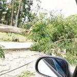 L’uragano Elsa si indebolisce a tempesta tropicale: distruzione ai Caraibi a causa di forti venti, piogge torrenziali e frane [FOTO]