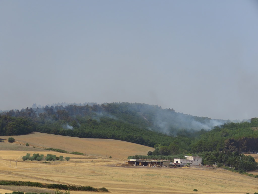 Incendio Puglia