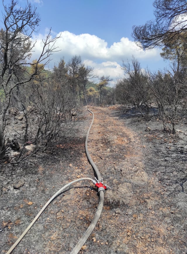 incendi Grecia Vilia