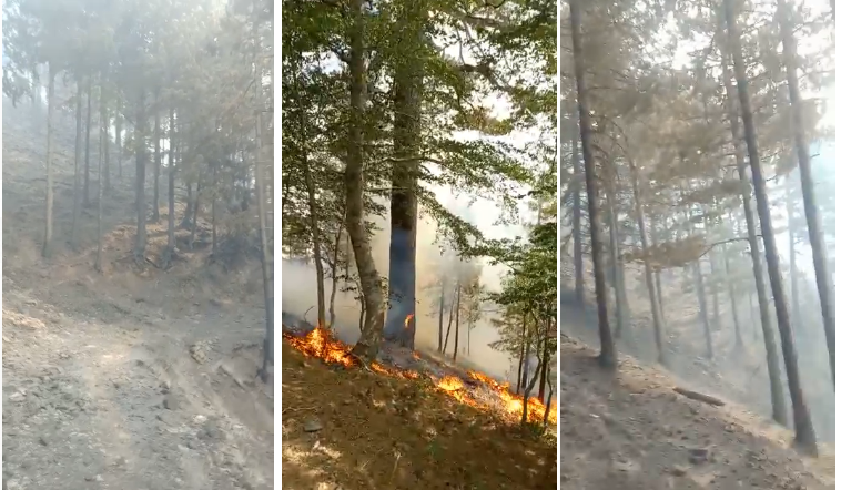 incendi aspromonte 12 agosto 2021