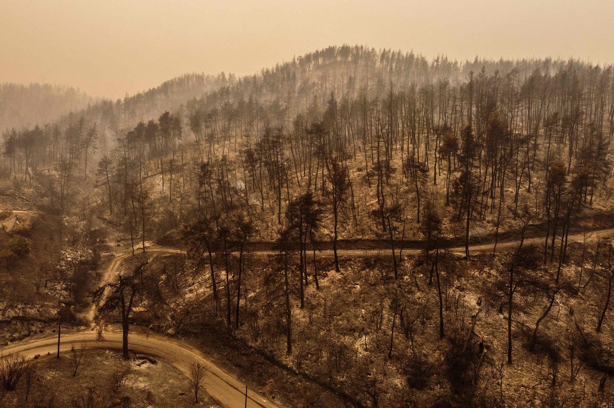 incendi grecia evia