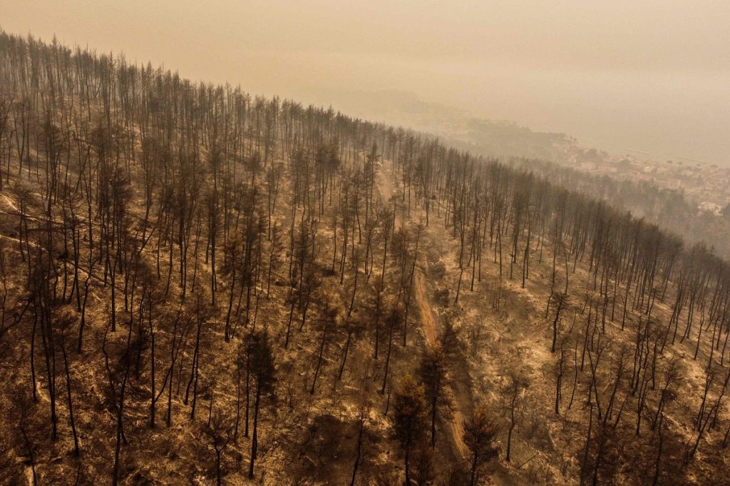 incendi grecia evia