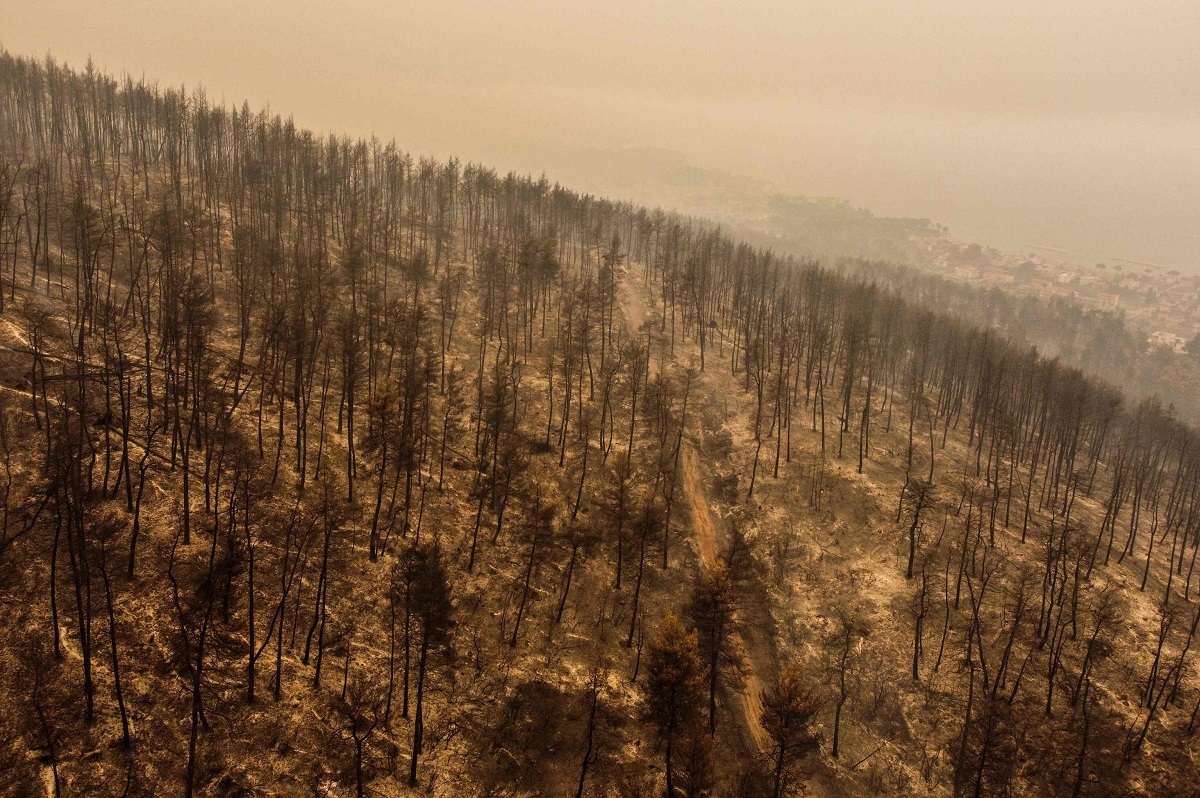 incendi grecia evia