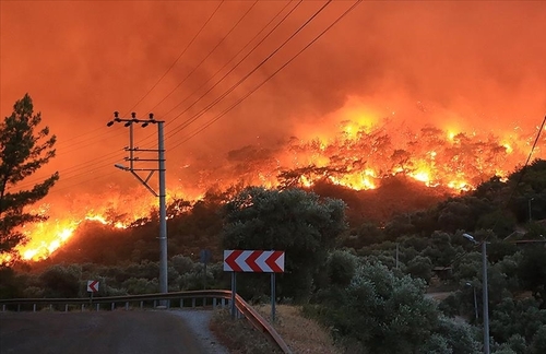 incendi turchia