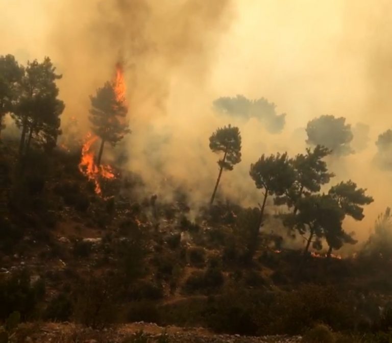 incendi turchia