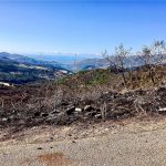 Incendi in Sicilia, ancora fiamme sulle Madonie: nuovi roghi a San Mauro Castelverde, molti animali morti – FOTO