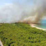 Giornata infernale tra caldo e incendi al Centro-Sud, +43°C a Siracusa, +42° a Lecce: un centinaio di roghi in Calabria, le fiamme raggiungono le case a Campomarino – FOTO e VIDEO