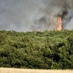 Incendi, dopo 4 giorni ancora fiamme nel bosco di Gravina in Puglia: il fuoco riprende vigore, oltre 1.000 ettari in fumo – FOTO