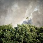 Incendi, dopo 4 giorni ancora fiamme nel bosco di Gravina in Puglia: il fuoco riprende vigore, oltre 1.000 ettari in fumo – FOTO