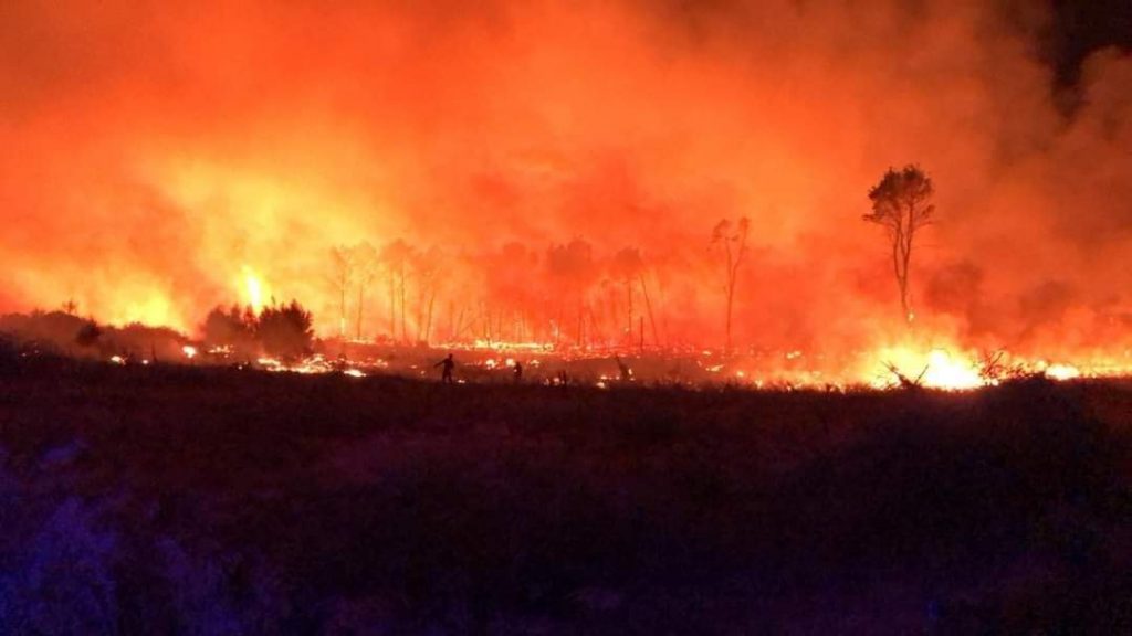 incendio pineta isola capo rizzuto