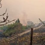 Incendi, apocalisse di fuoco in Aspromonte: 2 morti a San Lorenzo, devastate le montagne di Reggio Calabria