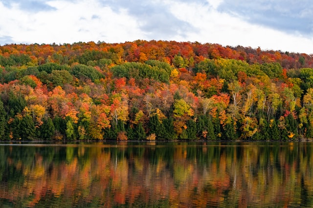 foliage vermont