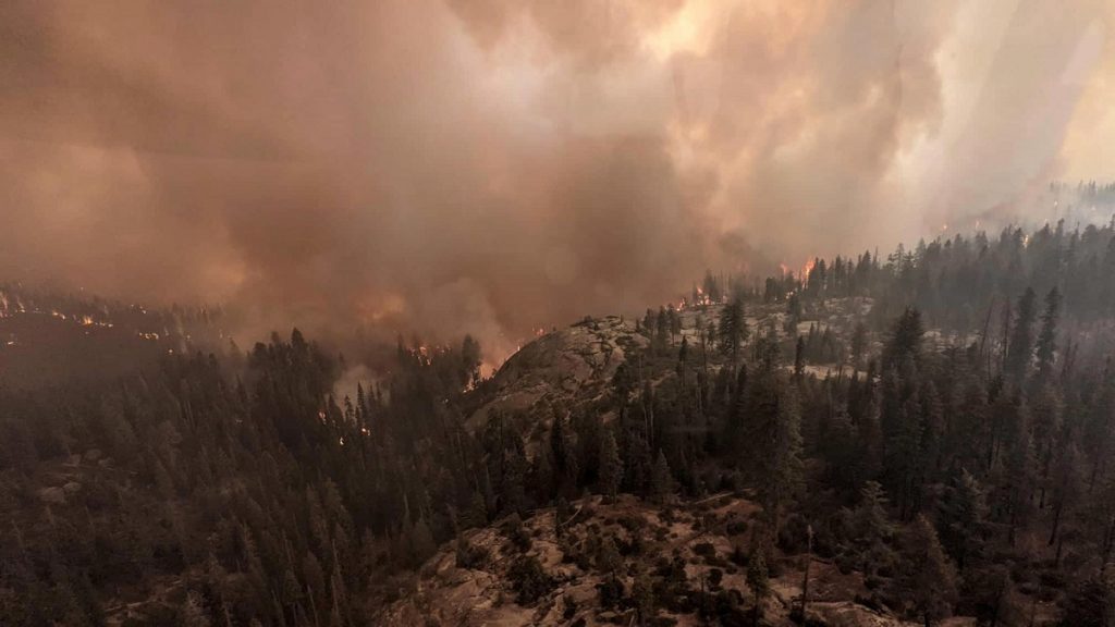 incendi california sequoie