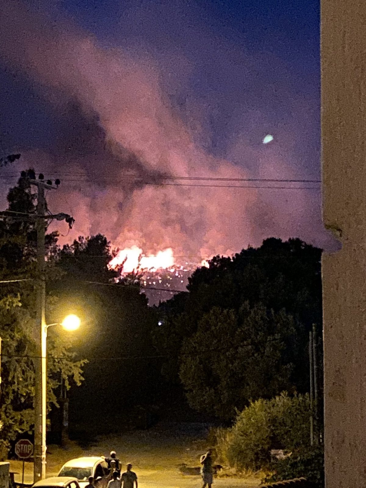 incendio Nea Makri Grecia Atene