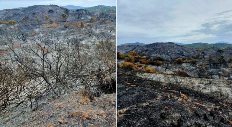 incendio spagna Sierra Bermeja