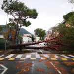 Maltempo, raffiche di oltre 100km/h in provincia di Massa Carrara: alberi caduti e allagamenti, violenta grandinata a Borgo San Lorenzo e Bivigliano – FOTO e VIDEO