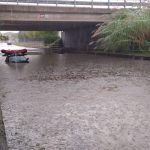 Maltempo, nubifragi in Emilia Romagna: allagamenti e alberi caduti a Forlì, auto sommerse – FOTO e VIDEO