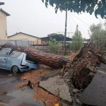 Maltempo, raffiche di oltre 100km/h in provincia di Massa Carrara: alberi caduti e allagamenti, violenta grandinata a Borgo San Lorenzo e Bivigliano – FOTO e VIDEO