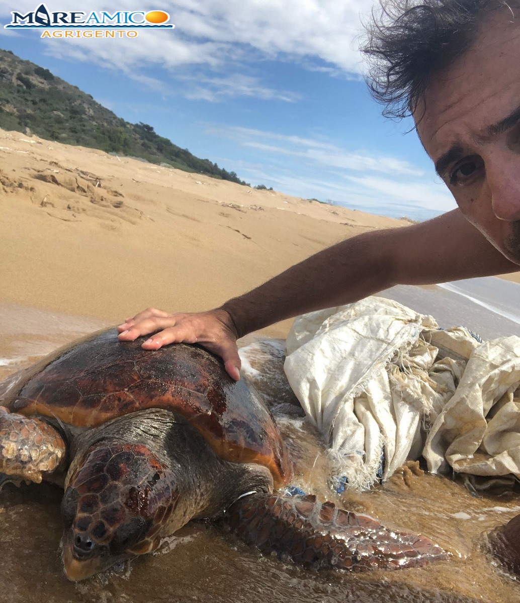 Agrigento salvataggio tartaruga Caretta caretta (4)