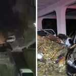 Ciclone Mediterraneo, Sicilia in ginocchio per il maltempo: 2 dispersi nel Catanese, violento nubifragio travolge Alcamo [FOTO e VIDEO]