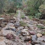 Maltempo Sicilia, esonda il torrente Fitalia nel Messinese: danni e disagi a Frazzanò, chiusa la SP157 [FOTO]