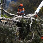 Maltempo, venti di 165km/h in Australia: alberi abbattuti, tetti divelti e 450.000 persone al buio a Melbourne – FOTO