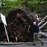 Maltempo, venti di 165km/h in Australia: alberi abbattuti, tetti divelti e 450.000 persone al buio a Melbourne – FOTO