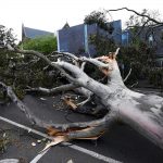 Maltempo, venti di 165km/h in Australia: alberi abbattuti, tetti divelti e 450.000 persone al buio a Melbourne – FOTO