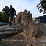 Maltempo, venti di 165km/h in Australia: alberi abbattuti, tetti divelti e 450.000 persone al buio a Melbourne – FOTO