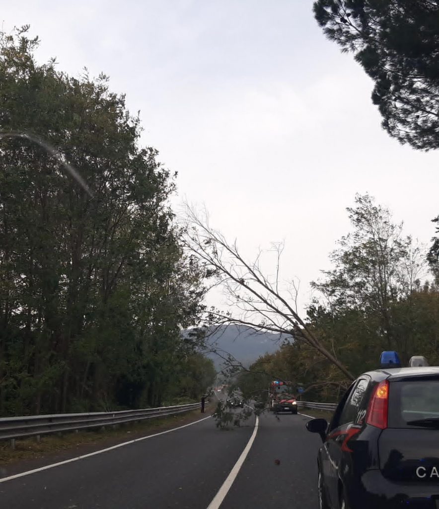 maltempo calabria