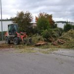 Tempesta di vento in Germania e Paesi Bassi: raffiche di oltre 100km/h, alberi abbattuti, case danneggiate e caos trasporti – FOTO