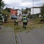 Tempesta di vento in Germania e Paesi Bassi: raffiche di oltre 100km/h, alberi abbattuti, case danneggiate e caos trasporti – FOTO