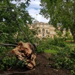 Tempesta di vento in Germania e Paesi Bassi: raffiche di oltre 100km/h, alberi abbattuti, case danneggiate e caos trasporti – FOTO