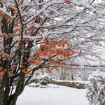 Maltempo in Veneto: fitte nevicate nella notte sulle Dolomiti, scenari fiabeschi a Cortina e San Vito di Cadore [FOTO]