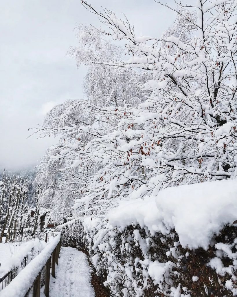 San Vito di Cadore