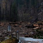 Piogge torrenziali, frane e inondazioni in British Columbia: Canada occidentale nella morsa del maltempo, almeno un morto e migliaia di sfollati [FOTO e VIDEO]