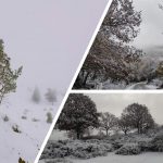 Maltempo e freddo in Sardegna: tanta neve oltre i 1.400 metri, fiocchi bianchi in arrivo anche a quote più basse [FOTO]