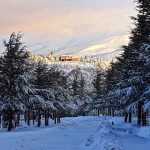 Maltempo, gelo e disagi in Sardegna: blackout per neve, paesi senza corrente in Barbagia [FOTO]