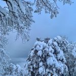 Maltempo, gelo e disagi in Sardegna: blackout per neve, paesi senza corrente in Barbagia [FOTO]