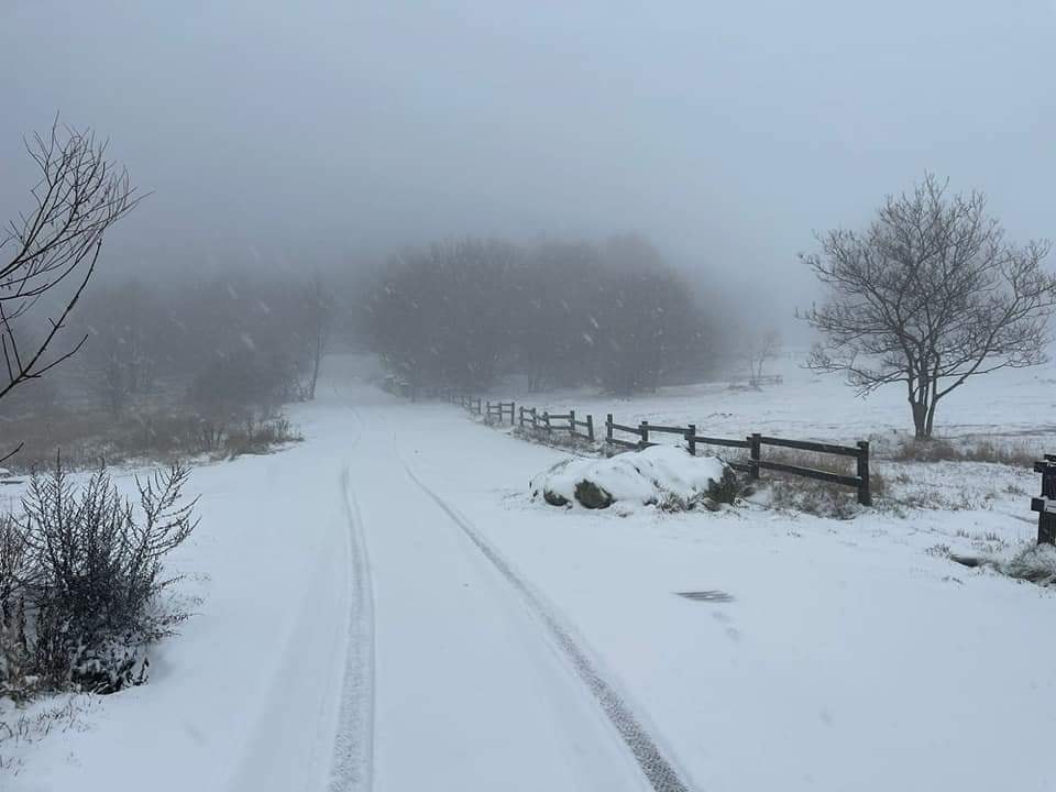 neve liguria