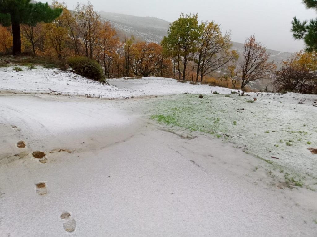 neve sardegna nuorese