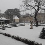 Meteo, freddo e forte nevicata a Vienna: prima neve sulla capitale dell’Austria – FOTO