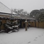 Meteo, freddo e forte nevicata a Vienna: prima neve sulla capitale dell’Austria – FOTO