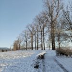 Maltempo Veneto: ad Asiago i fiocchi continuano a cadere, almeno 30 cm di neve fresca [FOTO]