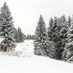 Maltempo Veneto: ad Asiago i fiocchi continuano a cadere, almeno 30 cm di neve fresca [FOTO]