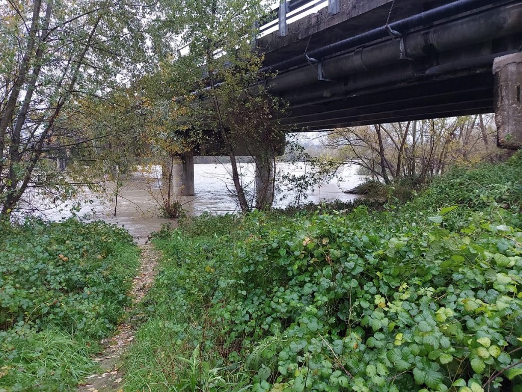 fiume Esino Marche