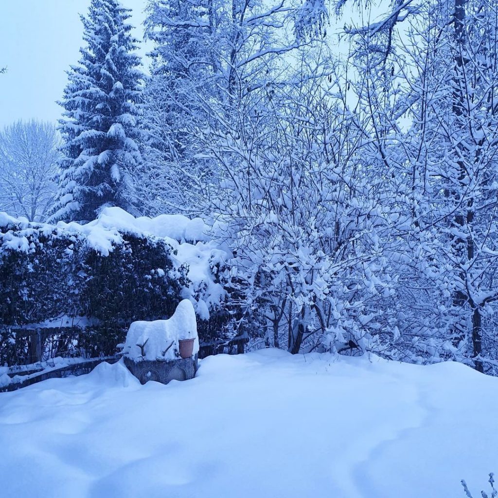 neve Courmayeur