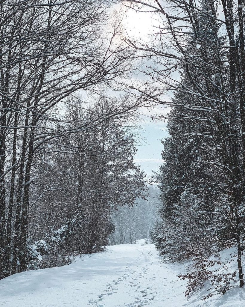 neve asiago