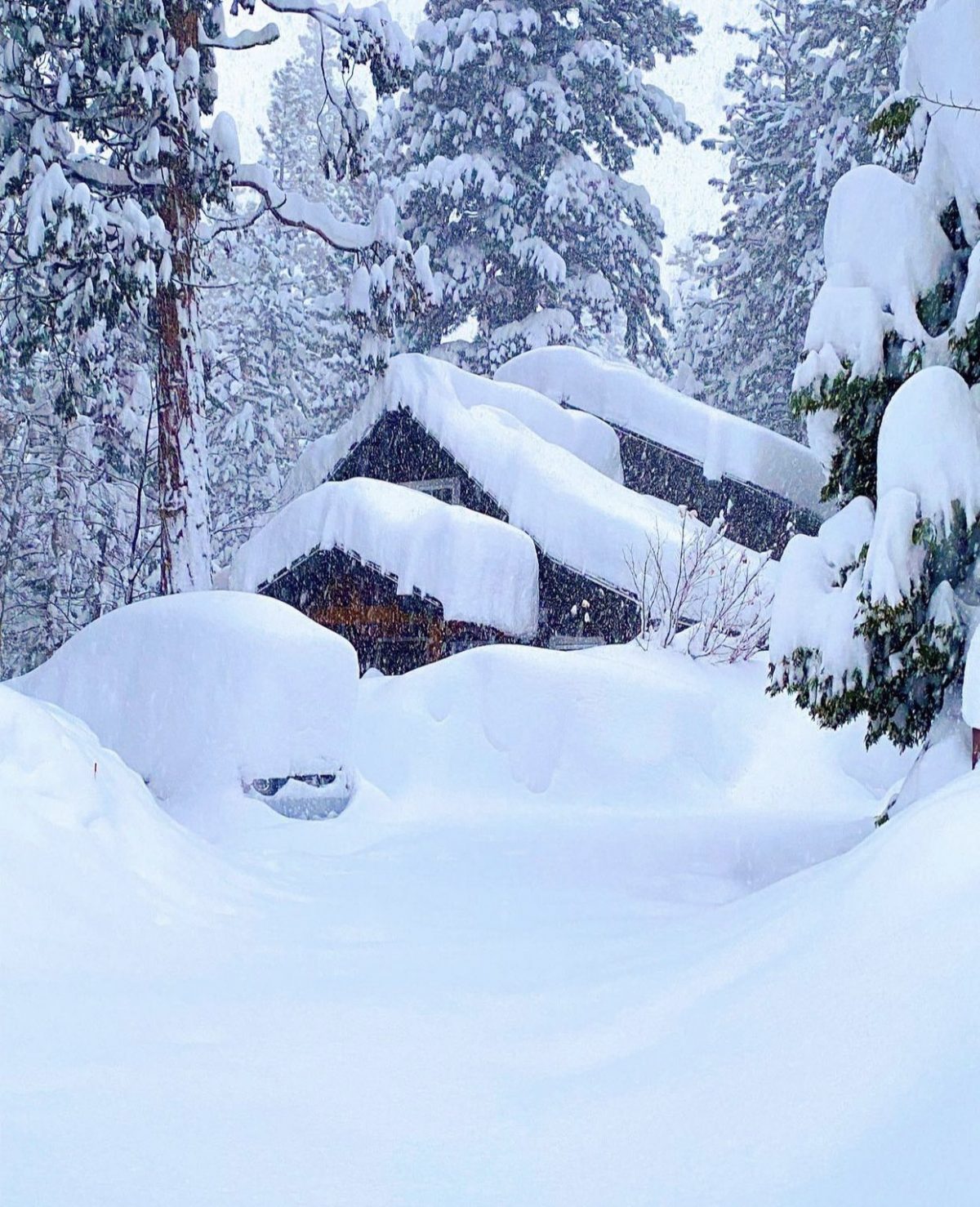 neve sierra nevada